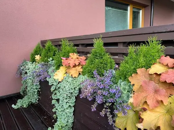 Сезонное оформление