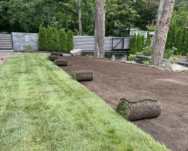 Устройство рулонного газона